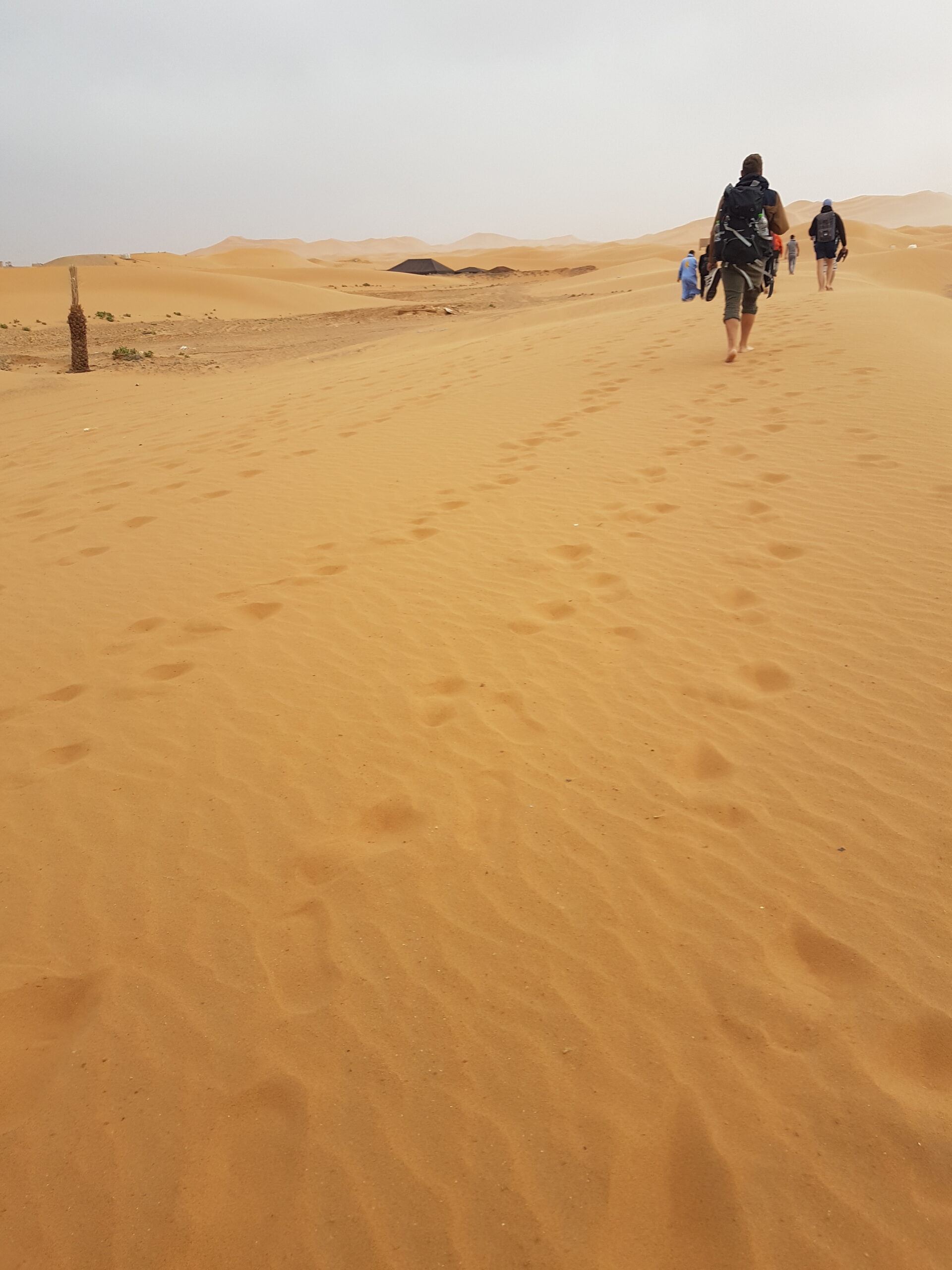 Sahara_190429_175958